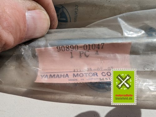 PXL_20240527_144037901